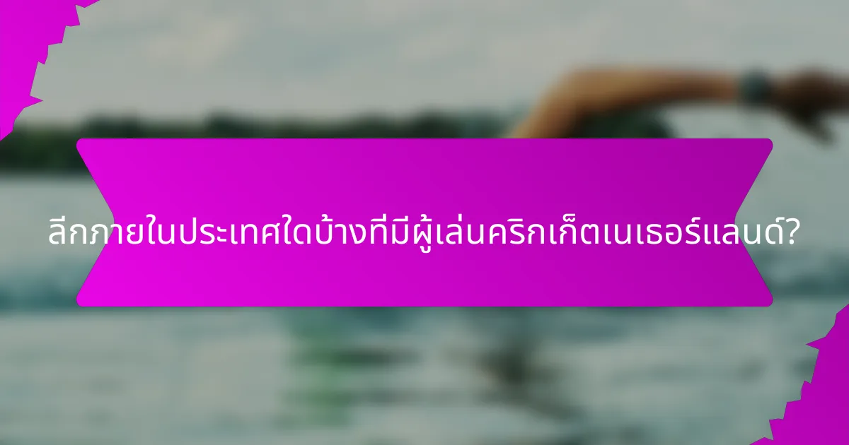 ลีกภายในประเทศใดบ้างที่มีผู้เล่นคริกเก็ตเนเธอร์แลนด์?