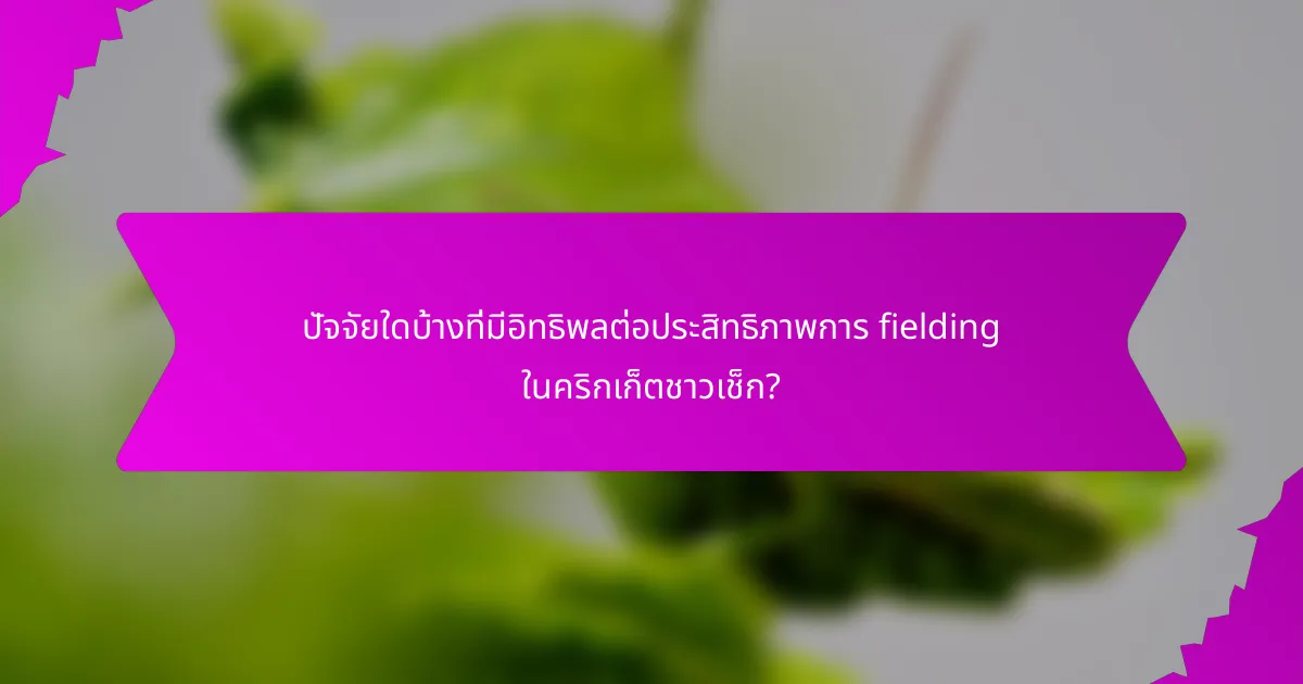 ปัจจัยใดบ้างที่มีอิทธิพลต่อประสิทธิภาพการ fielding ในคริกเก็ตชาวเช็ก?