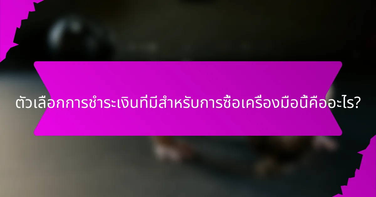ตัวเลือกการชำระเงินที่มีสำหรับการซื้อเครื่องมือนี้คืออะไร?