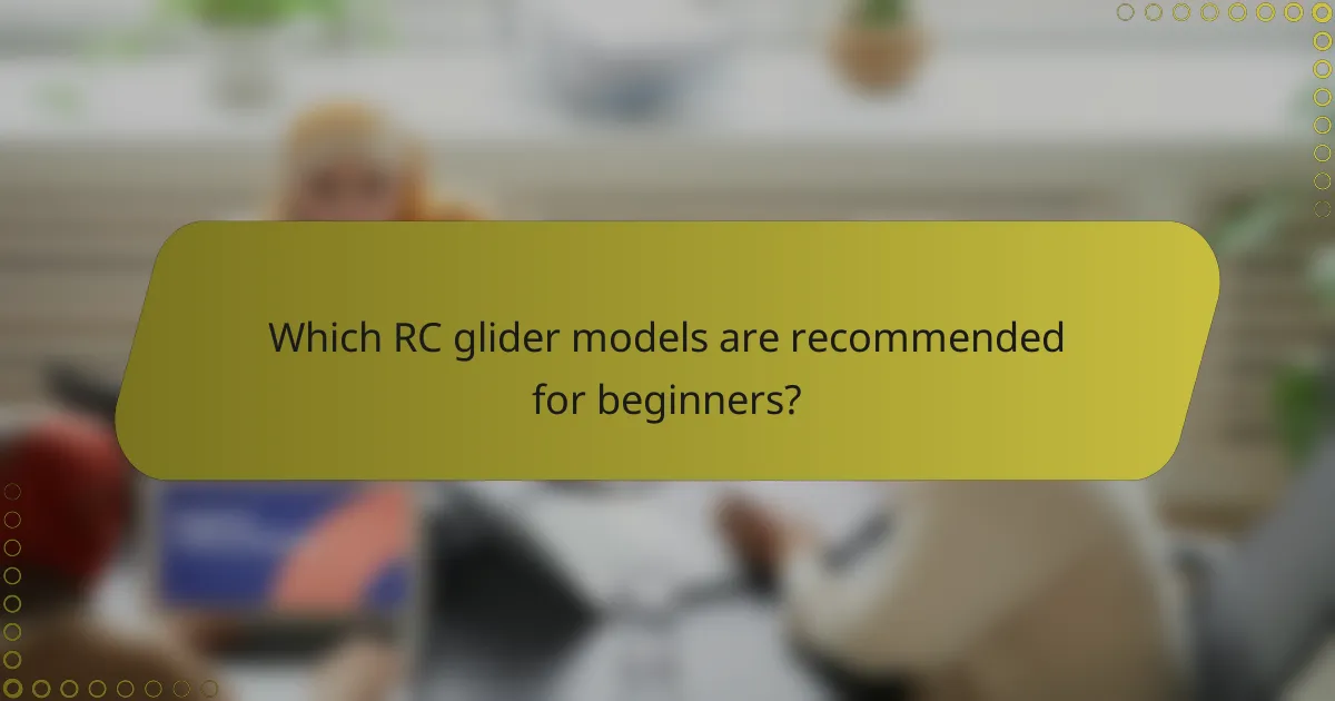 Which RC glider models are recommended for beginners?